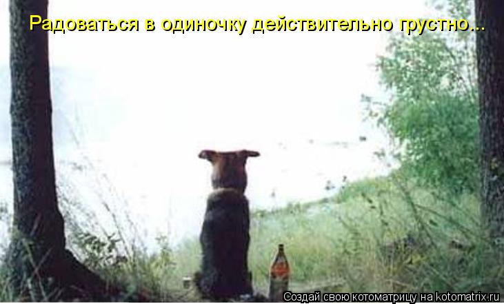 Котоматрица: Радоваться в одиночку действительно грустно...