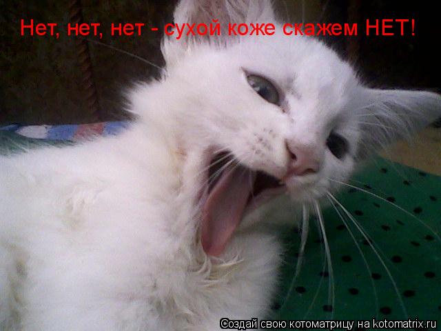 Котоматрица: Нет, нет, нет - сухой коже скажем НЕТ!
