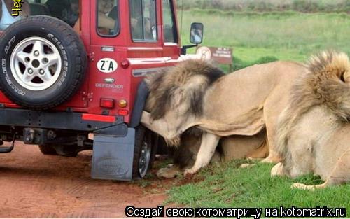 Чертово колесо! Опять спустило!И зачем я купил Land Rover? Чертово колесо! Опять спустило!И зачем я к... Котоматрица: Чертово колесо! Опять спустило!И зачем я купил Land Rover? Чертово колесо! Опять спустило!И зачем я купил Land Rover?