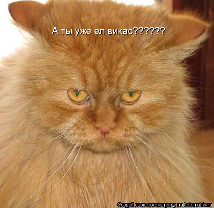 А ты уже ел викас??????... Котоматрица: А ты уже ел викас??????