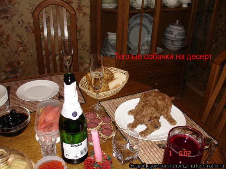 Котоматрица: Теплые собачки на десерт