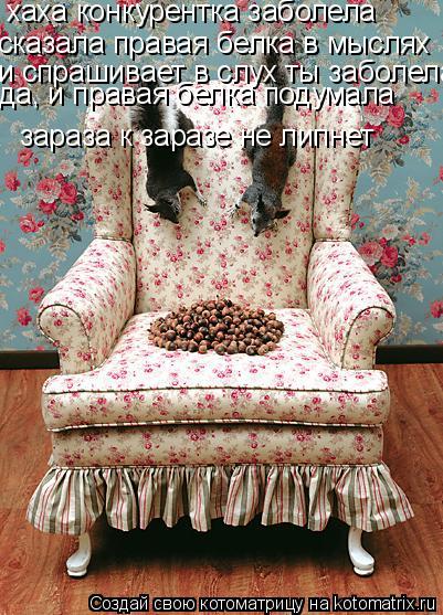 хаха конкурентка заболела сказала правая белка в мыслях и спрашивает в слух ты заболела зараза к зар... Котоматрица: хаха конкурентка заболела сказала правая белка в мыслях и спрашивает в слух ты заболела зараза к заразе не липнет да, и правая белка подума