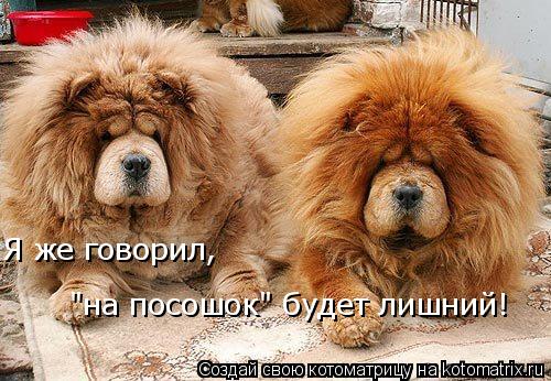 Котоматрица: Я же говорил, "на посошок" будет лишний!
