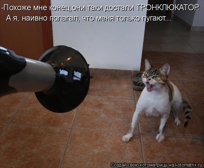 Котоматрица: -Похоже мне конец,они таки достали ТРОНКЛЮКАТОР. А я, наивно полагал, что меня только пугают...