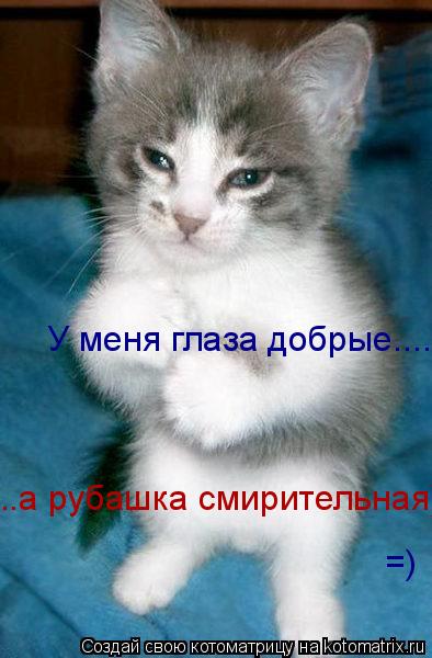 У меня глаза добрые...... ..а рубашка смирительная))) =)... Котоматрица: У меня глаза добрые...... ..а рубашка смирительная))) =)