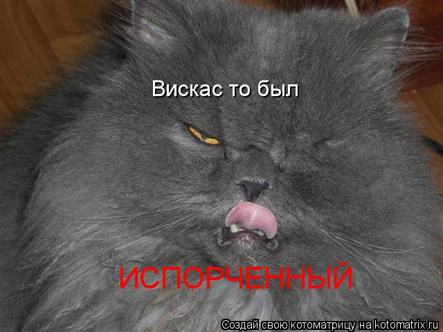 Котоматрица: Вискас то был  ИСПОРЧЕННЫЙ