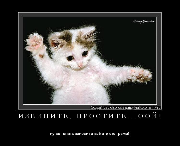 Котоматрица: И З В И Н И Т Е ,   П Р О С Т И Т Е . . . О О Й ! 