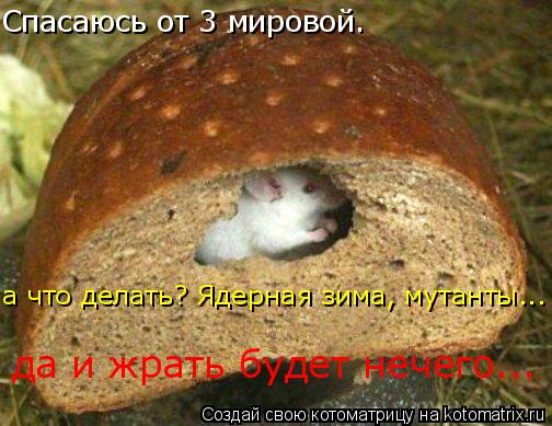 Спасаюсь от 3 мировой. а что делать? Ядерная зима, мутанты... да и жрать будет нечего...... Котоматрица: Спасаюсь от 3 мировой. а что делать? Ядерная зима, мутанты... да и жрать будет нечего...