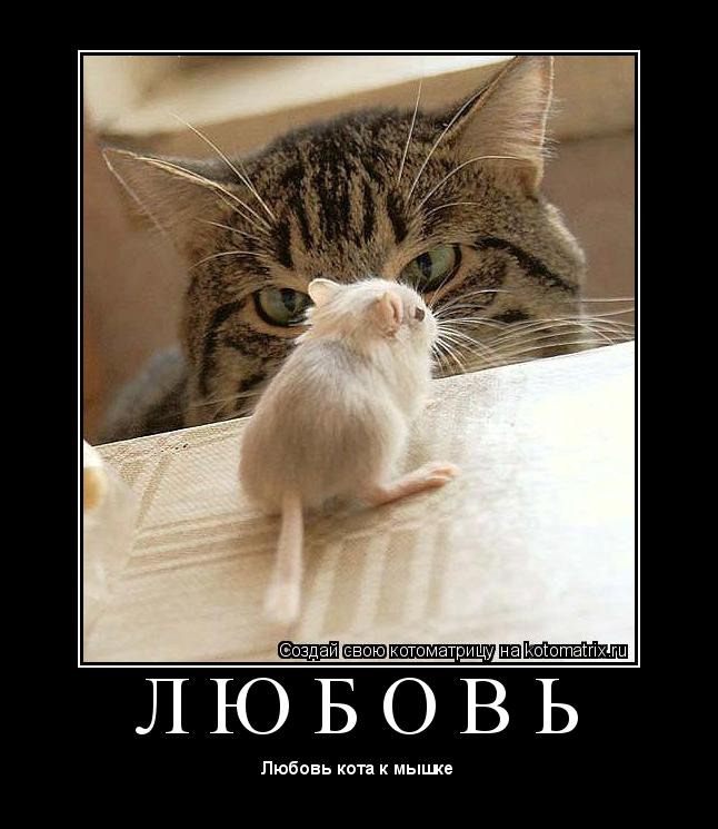 Л Ю Б О В Ь ... Котоматрица: Л Ю Б О В Ь