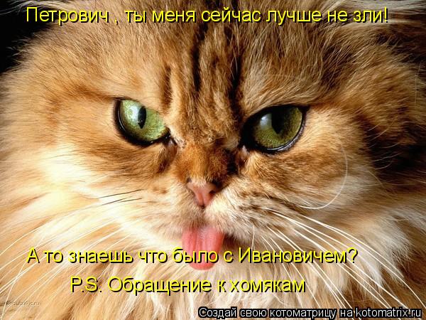 Петрович , ты меня сейчас лучше не зли! А то знаешь что было с Ивановичем? P.S. Обращение к хомякам... Котоматрица: Петрович , ты меня сейчас лучше не зли! А то знаешь что было с Ивановичем? P.S. Обращение к хомякам