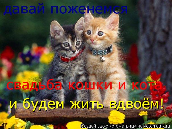 http://kotomatrix.ru/images/lolz/2008/11/15/O3.jpg