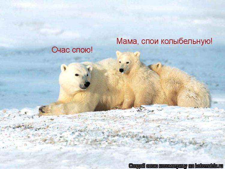 Котоматрица: Мама, спои колыбельную! Счас спою!