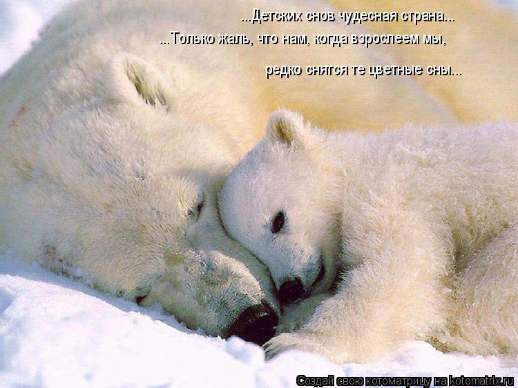 Котоматрица: ...Детских снов чудесная страна... ...Только жаль, что нам, когда взрослеем мы, редко снятся те цветные сны...