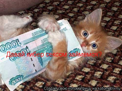 Давай кибер сексом займемся?... Котоматрица: Давай кибер сексом займемся?