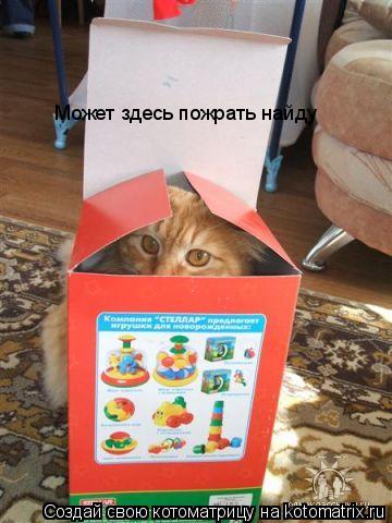 Котоматрица: Может здесь пожрать найду