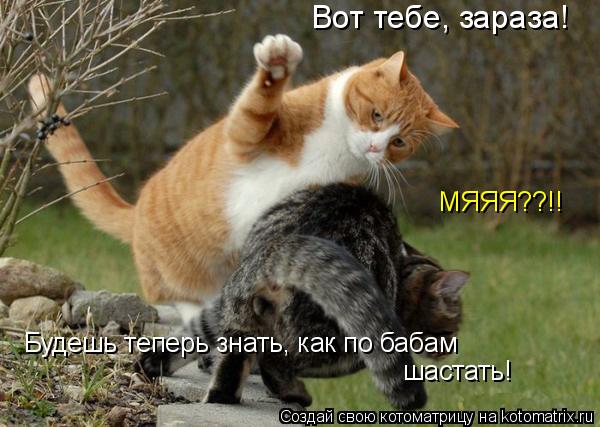 Котоматрица: Вот тебе, зараза! Будешь теперь знать, как по бабам шастать! МЯЯЯ??!!