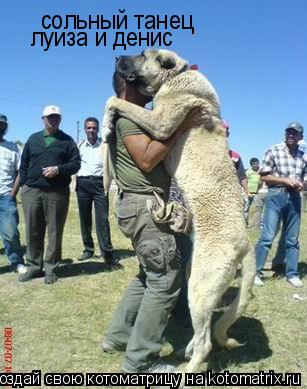 сольный танец сольный танец луиза и денис луиза и денис... Котоматрица: сольный танец сольный танец луиза и денис луиза и денис