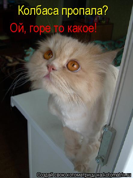 Котоматрица: Колбаса пропала? Ой, горе то какое!