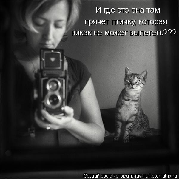 Котоматрица: И где это она там  прячет птичку, которая никак не может вылететь???