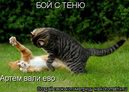 БОЙ С ТЕНЮ Артем вали ево... Котоматрица: БОЙ С ТЕНЮ Артем вали ево