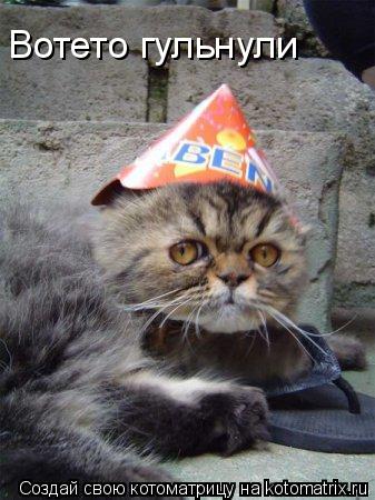 Котоматрица: Вотето гульнули