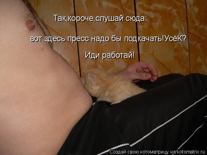 Котоматрица: Так,короче,слушай сюда: Так,короче,слушай сюда: вот здесь пресс надо бы подкачать!УсёК? Иди работай!