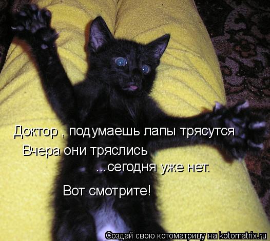 Котоматрица: Доктор , подумаешь лапы трясутся Вчера они тряслись ...сегодня уже нет. Вот смотрите!