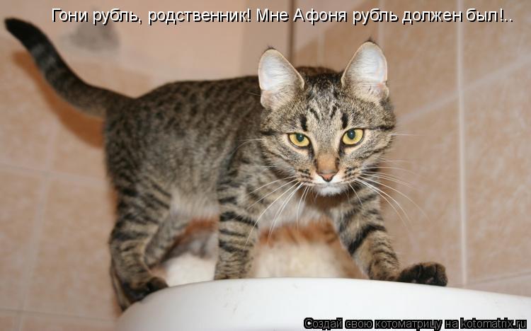 Котоматрица: Гони рубль, родственник! Мне Афоня рубль должен был!..