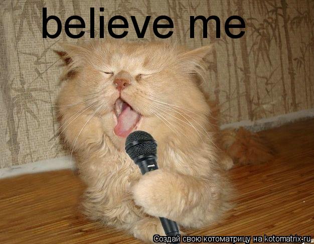 believe me... Котоматрица: believe me