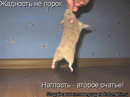 Жадность не порок Наглость - второе счатье!... Котоматрица: Жадность не порок Наглость - второе счатье!