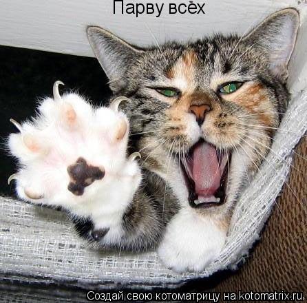 Парву всех... Котоматрица: Парву всех