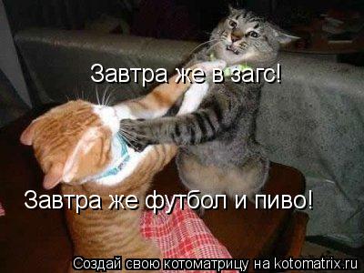 Котоматрица: Завтра же в загс! Завтра же футбол и пиво!