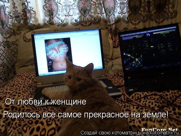 Котоматрица: От любви к женщине Родилось все самое прекрасное на земле!