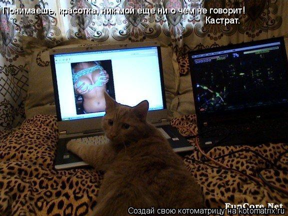 Понимаешь, красотка, ник мой еще ни о чем не говорит! Кастрат.... Котоматрица: Понимаешь, красотка, ник мой еще ни о чем не говорит! Кастрат.