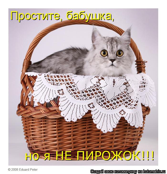 Простите, бабушка, но я НЕ ПИРОЖОК!!!... Котоматрица: Простите, бабушка, но я НЕ ПИРОЖОК!!!