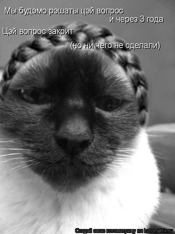 Котоматрица: Мы будэмо рэшаты цэй вопрос и через 3 года Цэй вопрос закрит  (но ни чего не сделали)