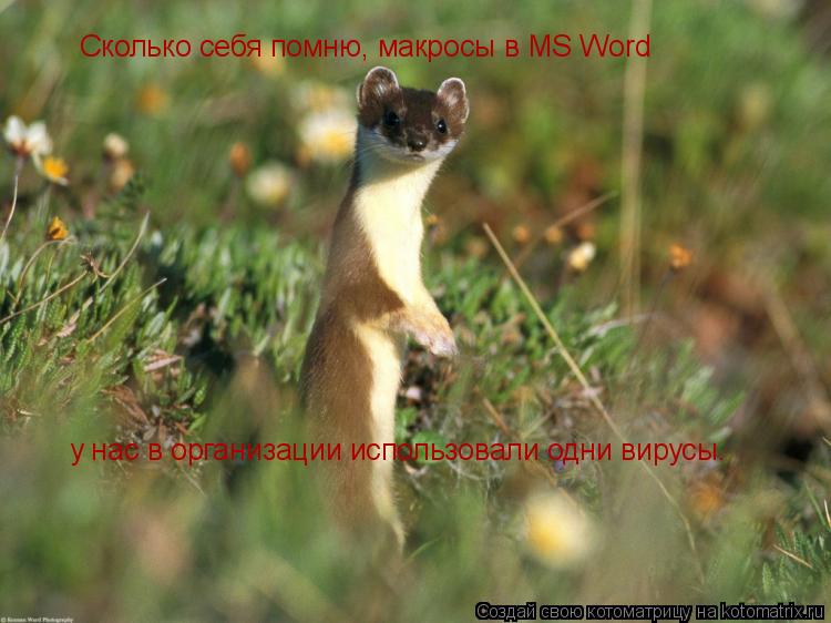 Сколько себя помню, макросы в MS Word у нас в организации использовали одни вирусы.... Котоматрица: Сколько себя помню, макросы в MS Word у нас в организации использовали одни вирусы.