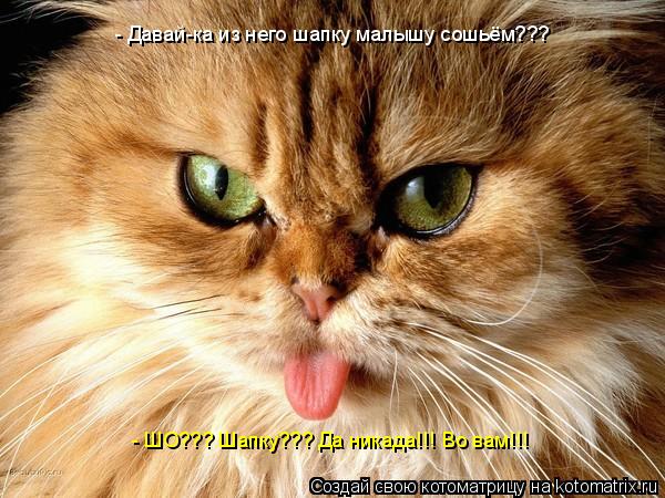 - Давай-ка из него шапку малышу сошьём??? - ШО??? Шапку??? Да никада!!! Во вам!!!... Котоматрица: - Давай-ка из него шапку малышу сошьём??? - ШО??? Шапку??? Да никада!!! Во вам!!!