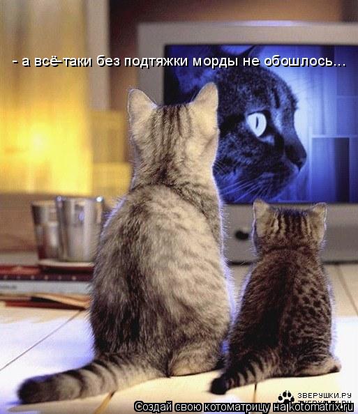 Котоматрица: - а всё-таки без подтяжки морды не обошлось...