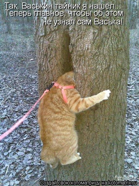 Котоматрица: Так, Васькин тайник я нашёл... Теперь главное, чтобы об этом  не узнал сам Васька!
