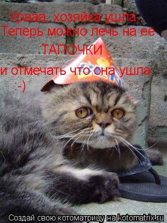 Котоматрица: Урааа, хозяйка ушла, Теперь можно лечь на ее ТАПОЧКИ и отмечать что она ушла :-)