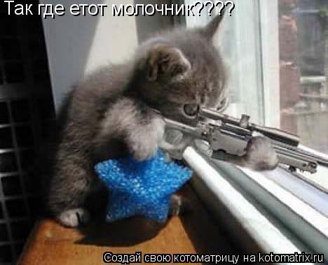 Котоматрица: Так где етот молочник????