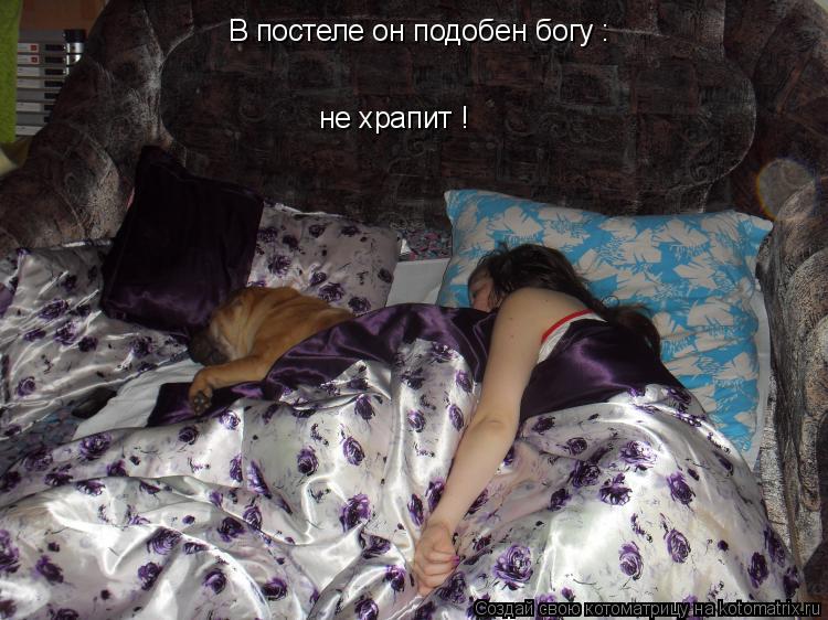 В постеле он подобен богу : не храпит !... Котоматрица: В постеле он подобен богу : не храпит !