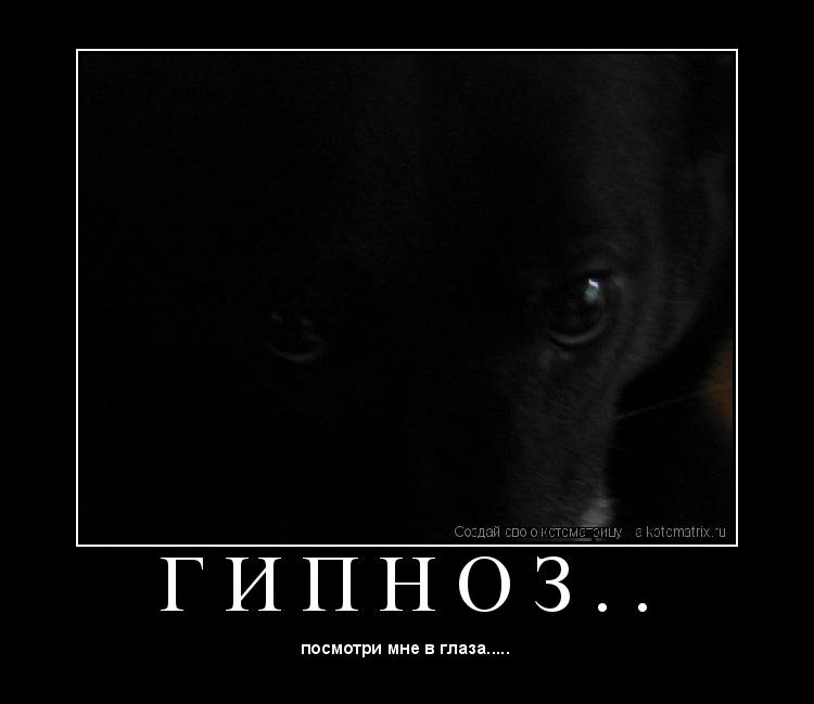 Котоматрица: Г И П Н О З . . 