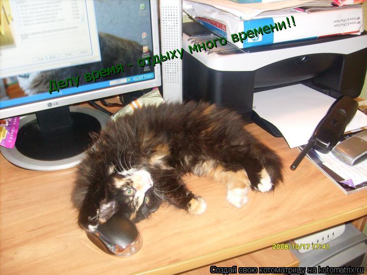 Делу время - отдыху много времени!!... Котоматрица: Делу время - отдыху много времени!!