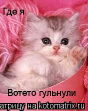 Вотето гульнули Где я... Котоматрица: Вотето гульнули Где я