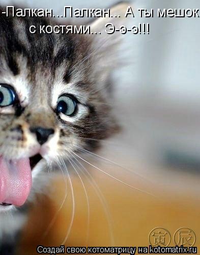 Котоматрица: -Палкан...Палкан... А ты мешок  с костями... Э-э-э!!!