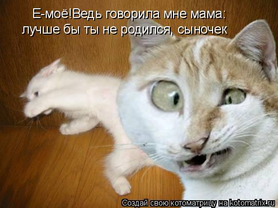 Котоматрица: Е-моё!Ведь говорила мне мама:  лучше бы ты не родился, сыночек