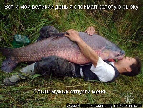 Вот и мой великий день я споймал золотую рыбку Слыш мужык отпусти меня... Котоматрица: Вот и мой великий день я споймал золотую рыбку Слыш мужык отпусти меня