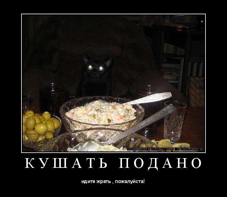 Котоматрица: К У Ш А Т Ь   П О Д А Н О 